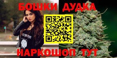 стафф Пенза