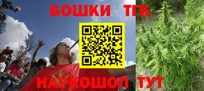 стафф Пенза