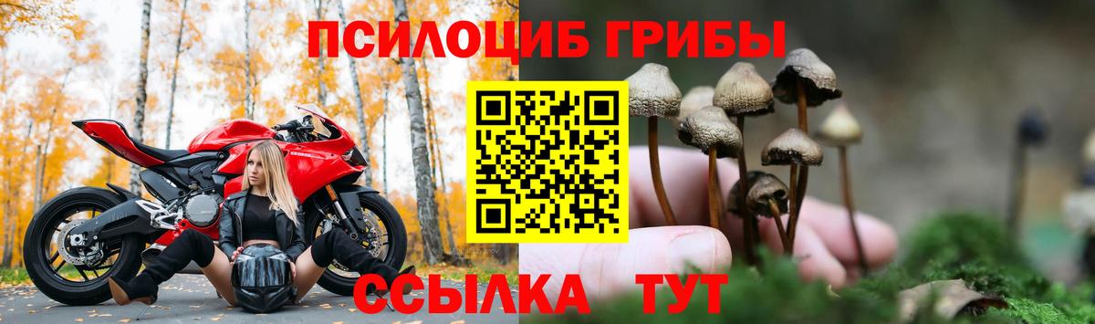Сердобск  Галлюциногенные грибы мицелий  Вход с VPN 